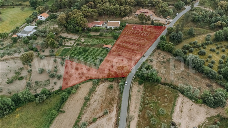 Quintinha  Fundão, Aldeia Nova - 1404325 - 11