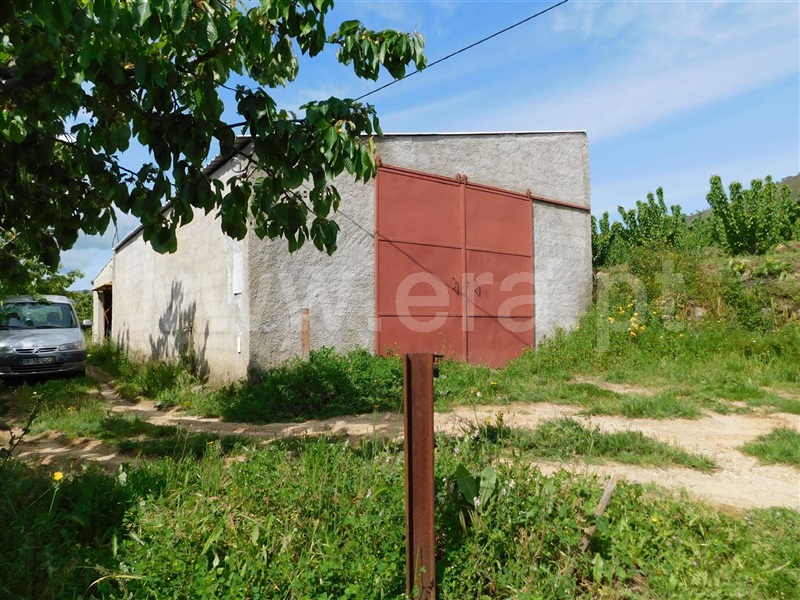 Quintinha / Fundão, Alpedrinha
