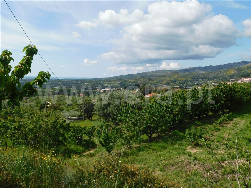 Quintinha  Fundão, Alpedrinha - 1171109 - 13