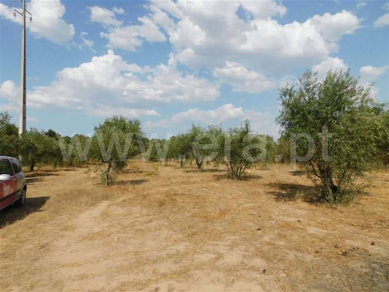 Quintinha  Fundão, Atalaia do Campo - 1195183 - 2