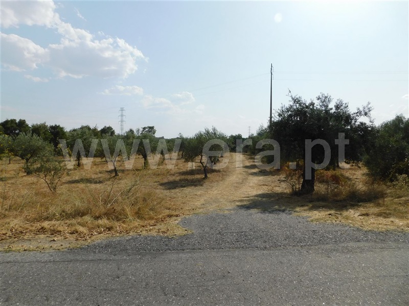 Quintinha  Fundão, Atalaia do Campo - 1195183 - 8