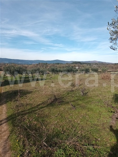 Quintinha  Fundão, Atalaia do Campo - 1382044 - 10