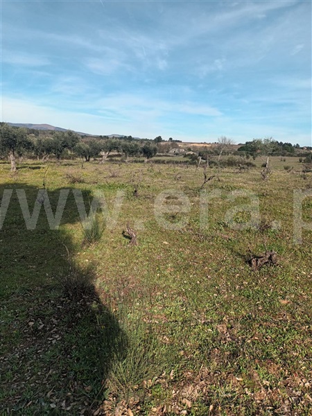 Quintinha  Fundão, Atalaia do Campo - 1382044 - 11