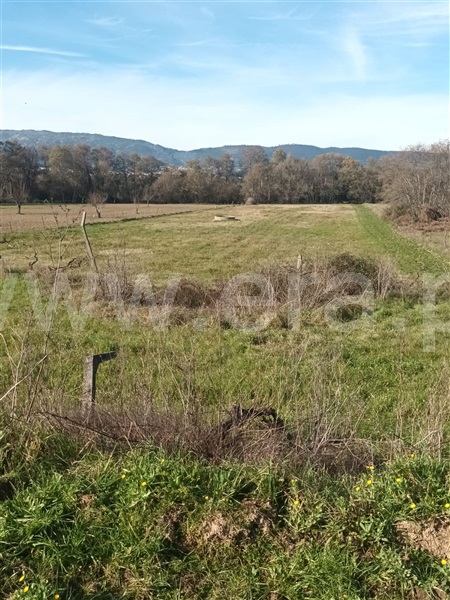 Quintinha  Fundão, Atalaia do Campo - 1382044 - 15