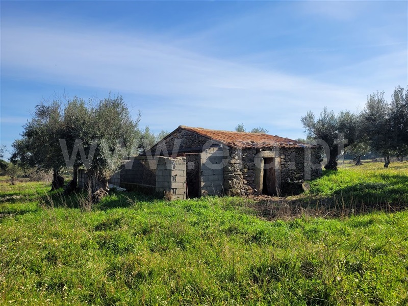 Quintinha / Fundão, Atalaia do Campo