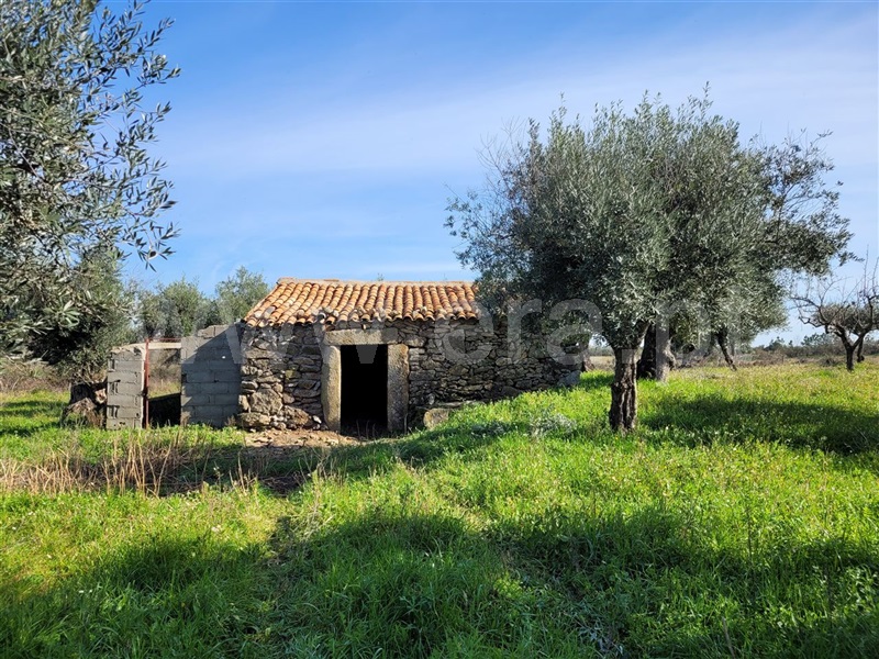 Quintinha  Fundão, Atalaia do Campo - 1382044 - 22