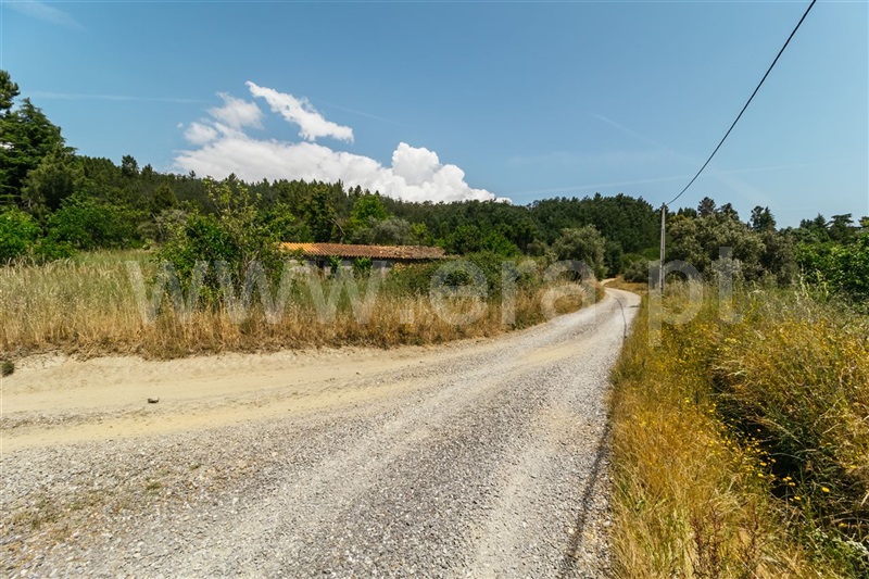 Quintinha  Fundão, Castelejo - 1316852 - 10