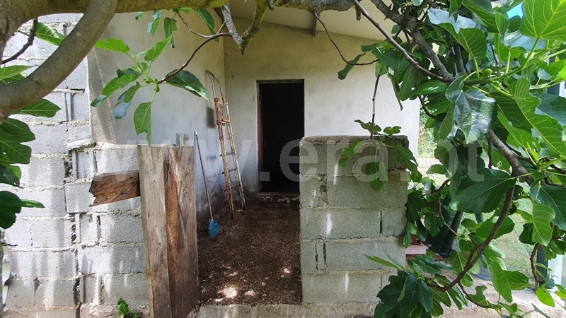 Quintinha  Fundão, Castelejo - 1431181 - 3