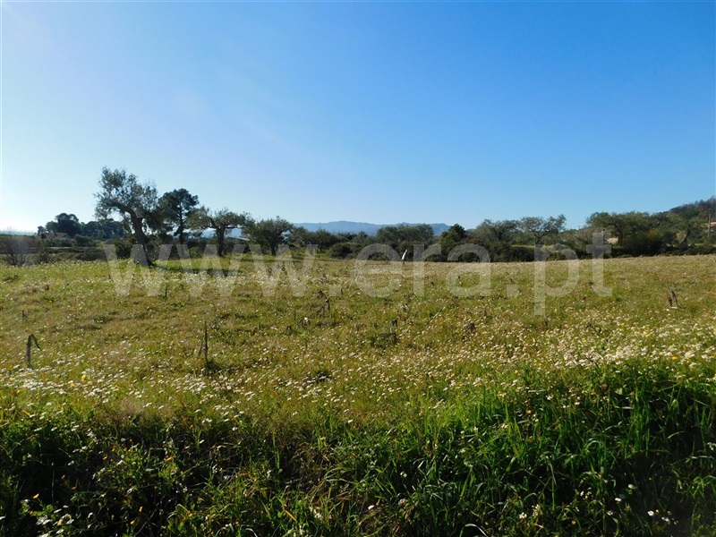 Quintinha  Fundão, Catrão - 1381504 - 7