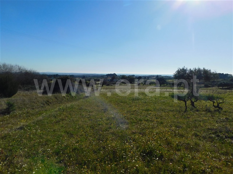 Quintinha  Fundão, Catrão - 1381504 - 9
