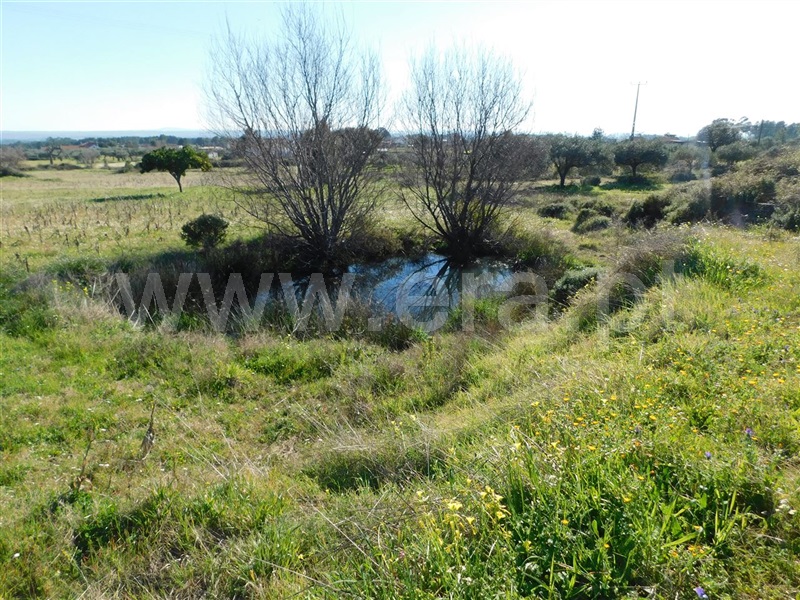 Quintinha  Fundão, Catrão - 1381504 - 13