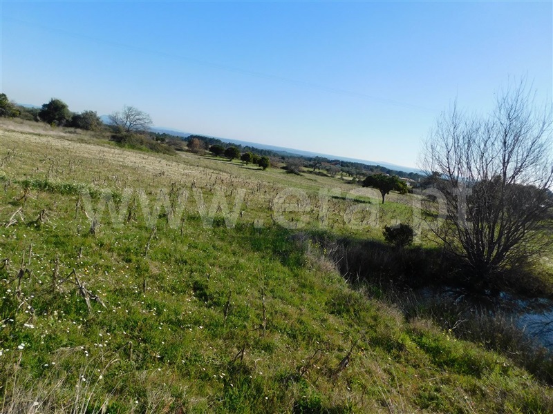 Quintinha  Fundão, Catrão - 1381504 - 14