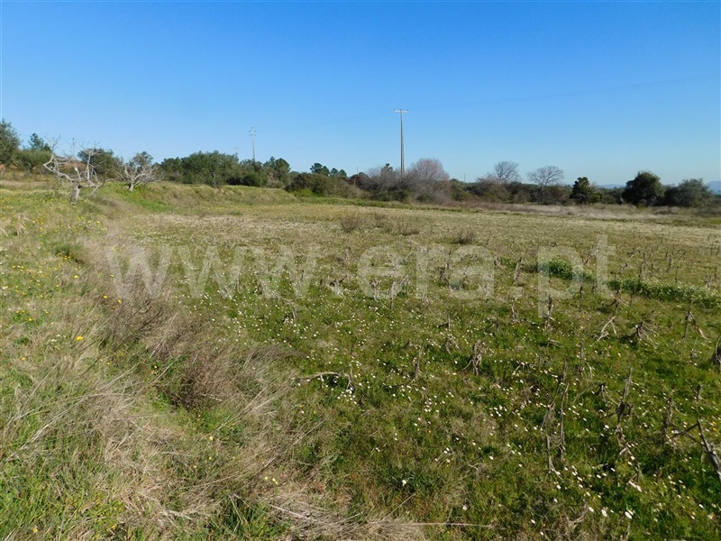 Quintinha  Fundão, Catrão - 1381504 - 15