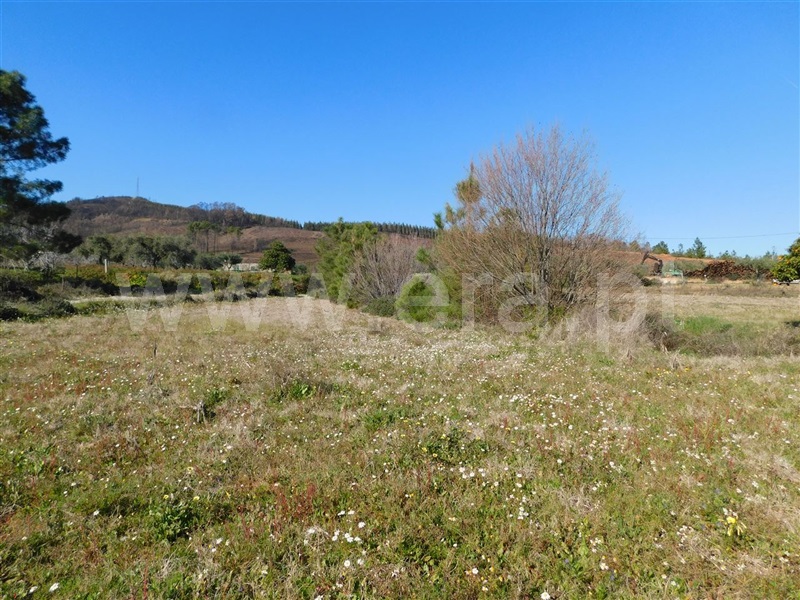 Quintinha  Fundão, Catrão - 1381504 - 17