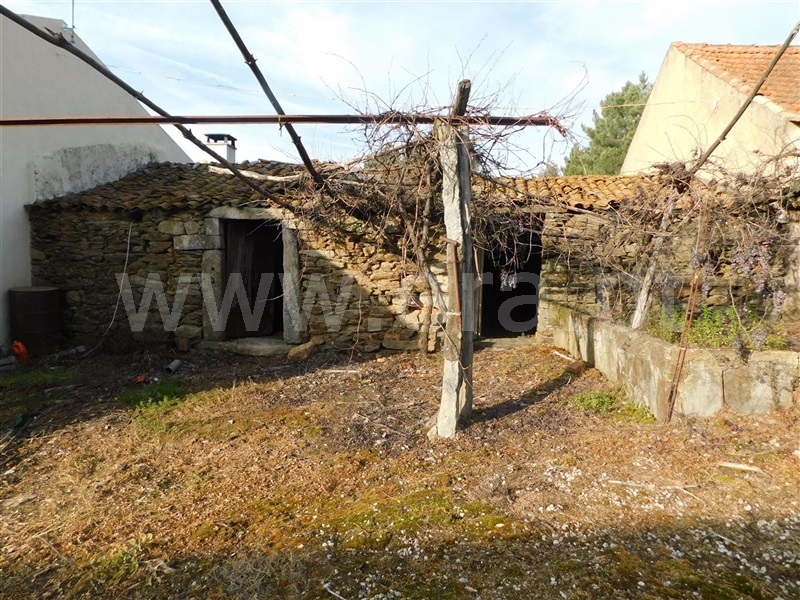 Quintinha  Fundão, Enxames - 1065353 - 2