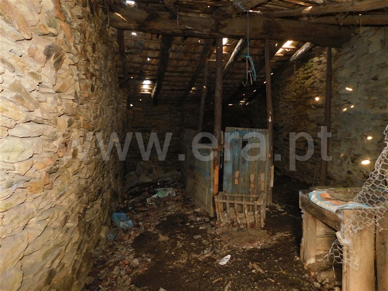 Quintinha  Fundão, Enxames - 1065353 - 4