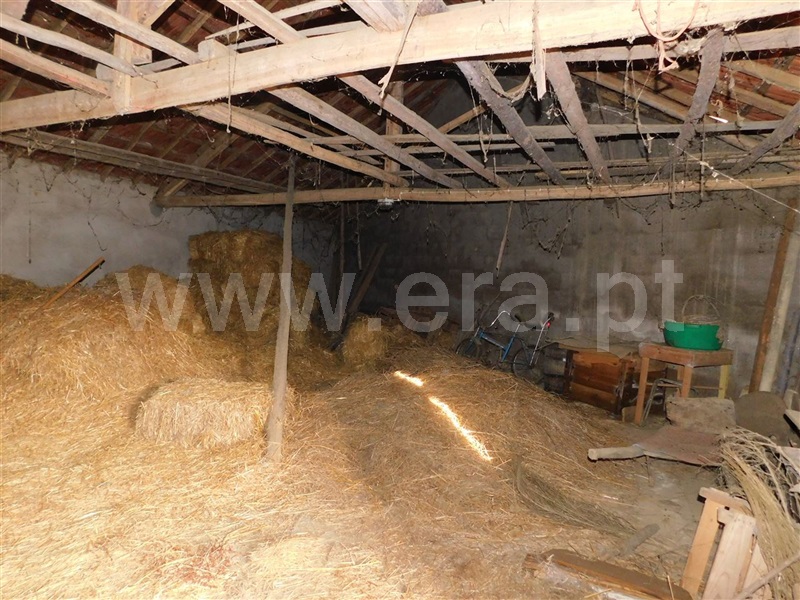Quintinha  Fundão, Enxames - 1065353 - 6