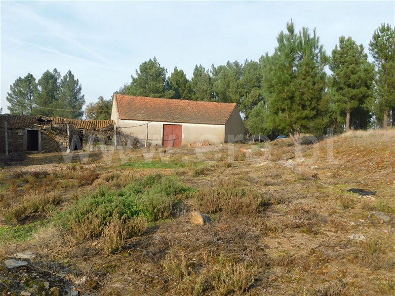Quintinha / Fundão, Enxames