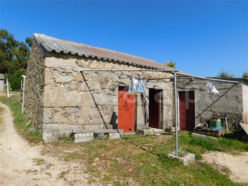 Quintinha / Fundão, Orca