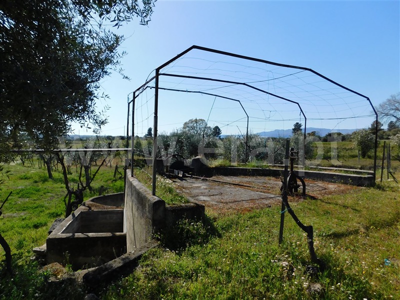 Quintinha  Fundão, Orca - 997773 - 12