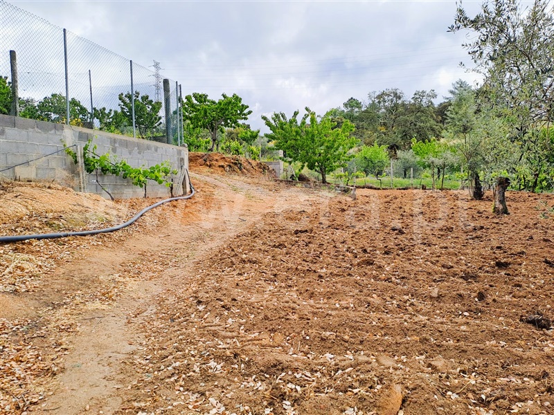 Quintinha  Fundão, Pêro Viseu - 1403523 - 12