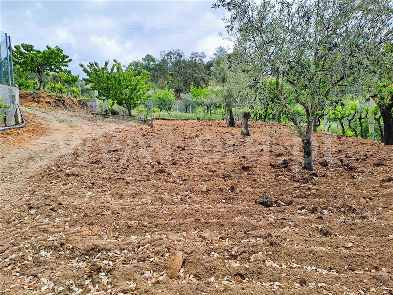 Quintinha  Fundão, Pêro Viseu - 1403523 - 17