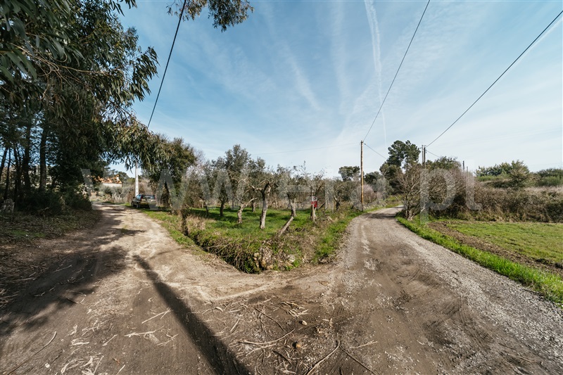 Quintinha  Fundão, Póvoa da Atalaia - 1458984 - 10