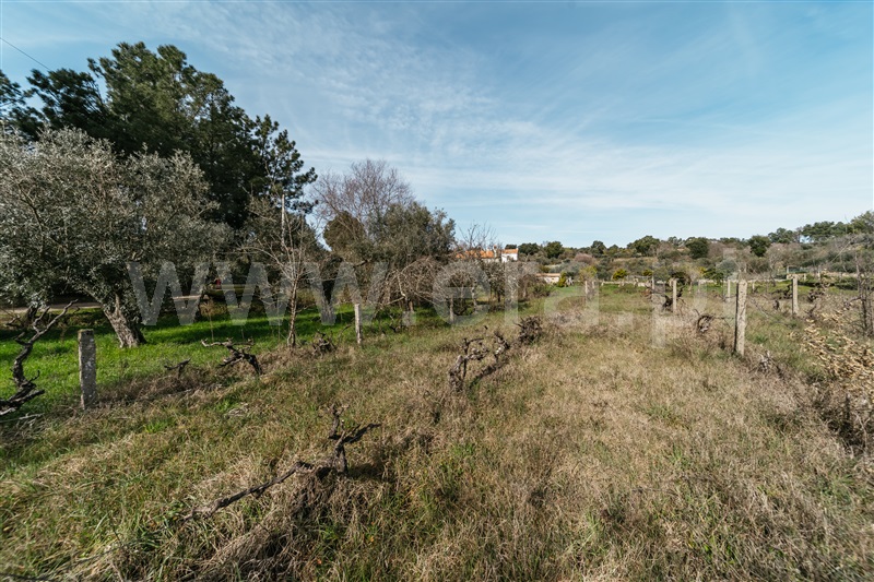 Quintinha  Fundão, Póvoa da Atalaia - 1458984 - 12