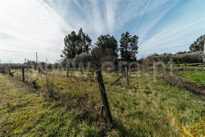 Quintinha  Fundão, Póvoa da Atalaia - 1458984 - 14