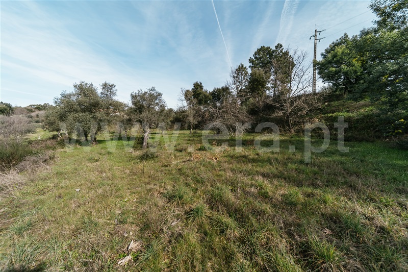 Quintinha  Fundão, Póvoa da Atalaia - 1458984 - 15