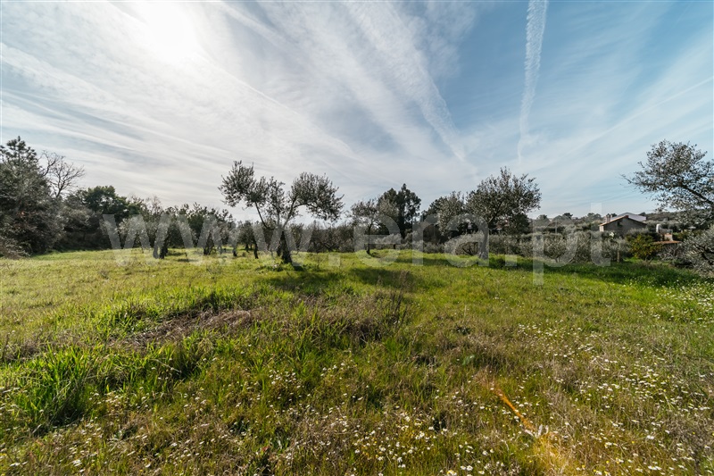 Quintinha  Fundão, Póvoa da Atalaia - 1458984 - 17