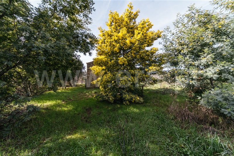 Quintinha  Fundão, Póvoa da Atalaia - 1458984 - 20