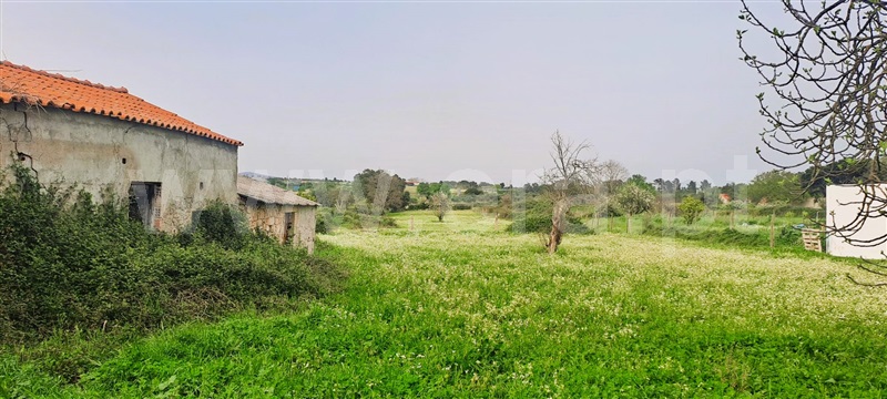 Quintinha / Fundão, Soalheira