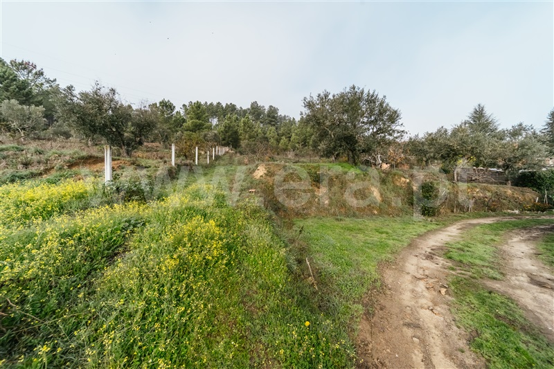 Quinta  Fundão, Souto Alto - 1434304 - 13