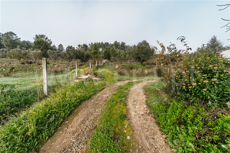 Quinta  Fundão, Souto Alto - 1434304 - 14