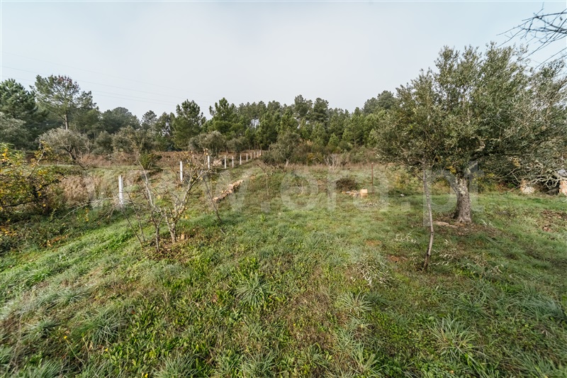 Quinta  Fundão, Souto Alto - 1434304 - 15