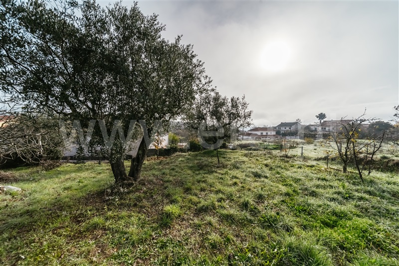 Quinta  Fundão, Souto Alto - 1434304 - 16