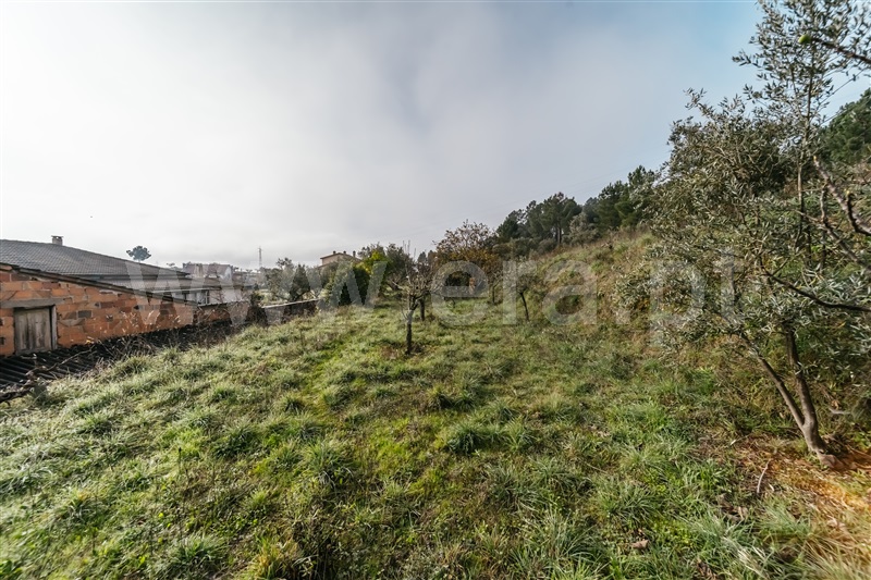 Quinta  Fundão, Souto Alto - 1434304 - 17