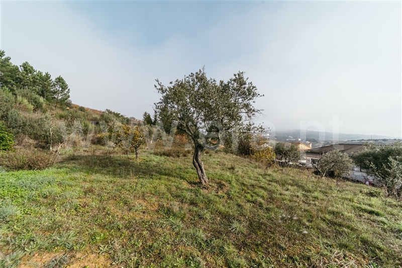 Quinta  Fundão, Souto Alto - 1434304 - 18