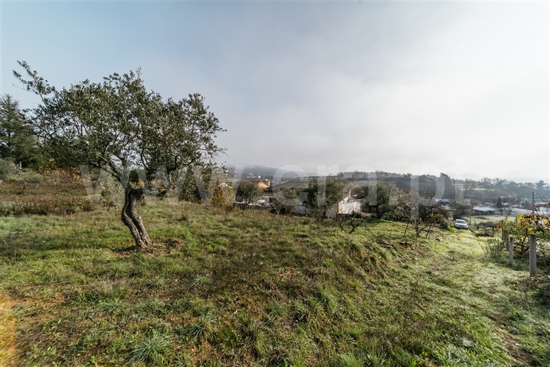 Quinta  Fundão, Souto Alto - 1434304 - 19