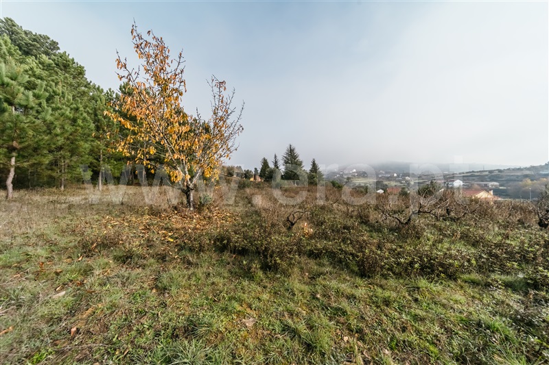 Quinta  Fundão, Souto Alto - 1434304 - 20