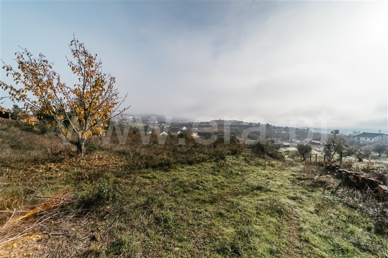 Quinta  Fundão, Souto Alto - 1434304 - 22