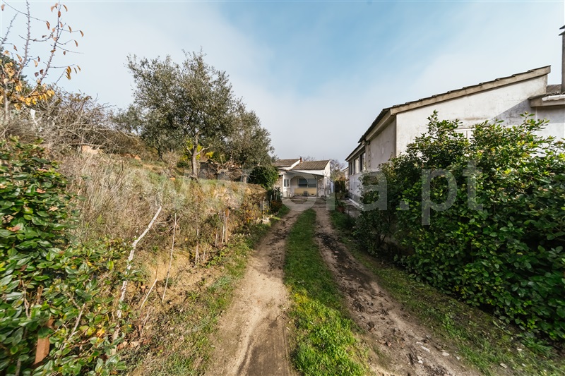Quinta  Fundão, Souto Alto - 1434304 - 28