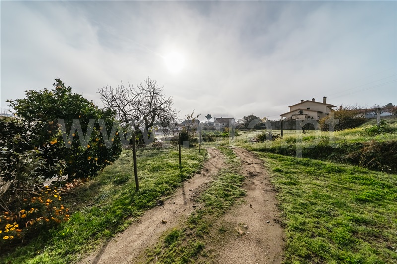 Quinta  Fundão, Souto Alto - 1434304 - 29