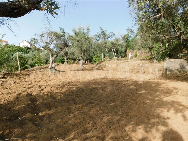 Quintinha  Fundão, Souto da Casa - 1348422 - 2