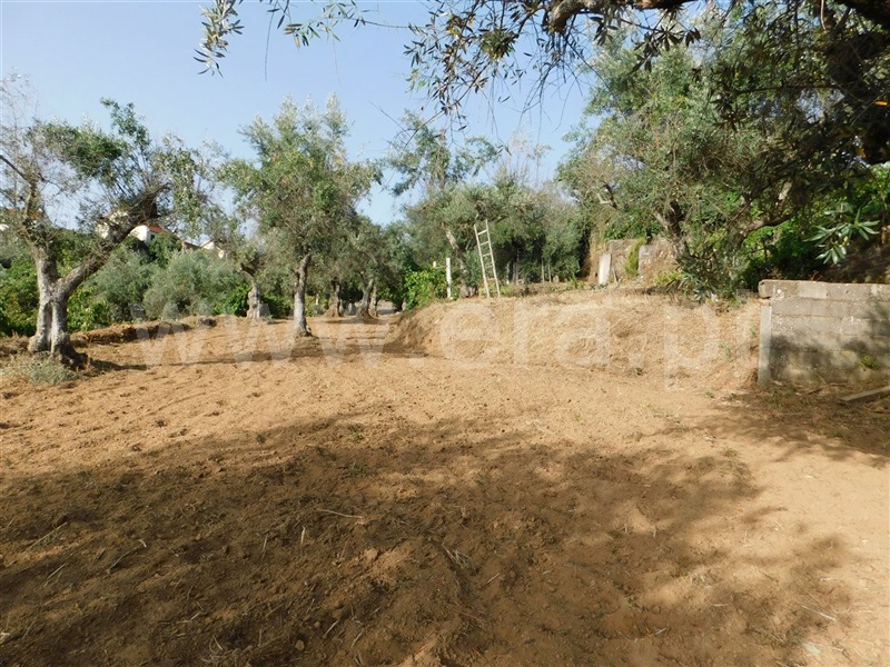 Quintinha  Fundão, Souto da Casa - 1348422 - 4