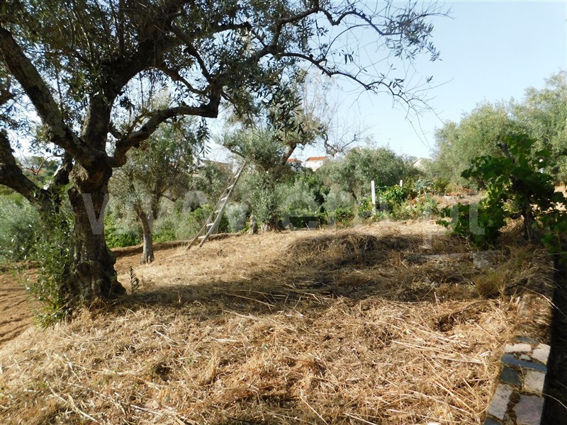 Quintinha  Fundão, Souto da Casa - 1348422 - 5
