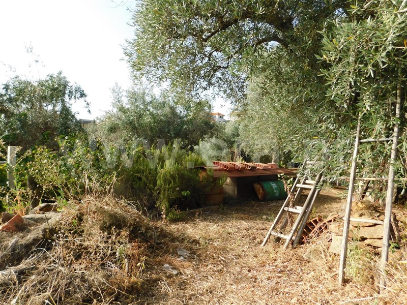 Quintinha  Fundão, Souto da Casa - 1348422 - 7