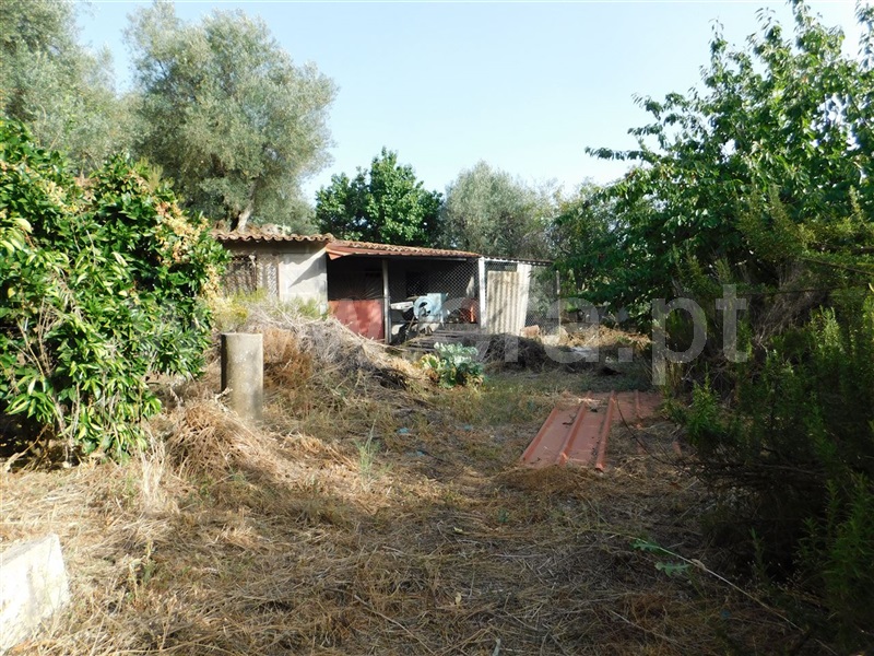 Quintinha  Fundão, Souto da Casa - 1348422 - 8