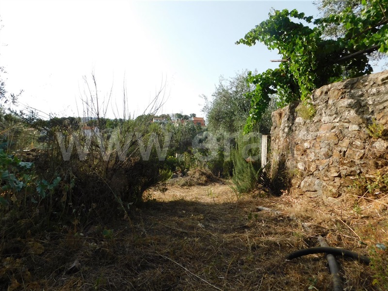 Quintinha  Fundão, Souto da Casa - 1348422 - 9
